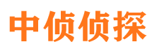 龙沙侦探公司